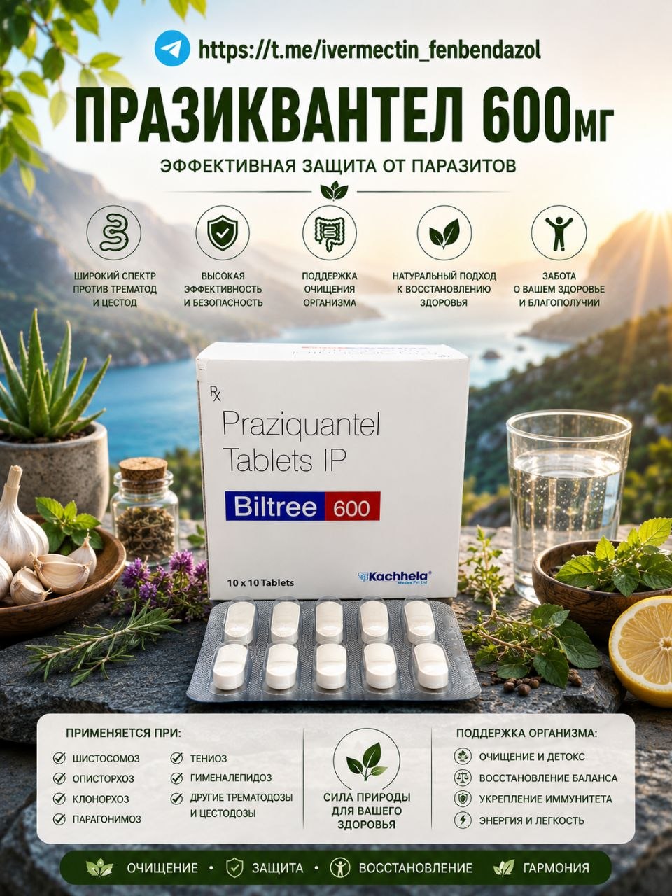 Biltree-600-1